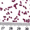 FGB 11/0 Grade A Glass Seed Beads X-SEED-S030-1211-4