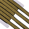 11M Polyester Elastic Ribbon DIY-GF0011-58A-03-1