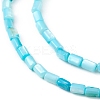 Natural Freshwater Shell Dyed Beads Strands SHEL-M018-12-05-3
