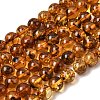 Natural Amber Beads Strands G-K376-H02-01-2