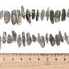 Natural Labradorite Beads Strands G-Z124-C01-01-5