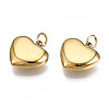316 Surgical Stainless Steel Charms LS-STAS-N097-045-3