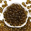 Transparent Colours Glass Seed Beads SEED-Z004-T8MM-05-2