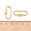 304 Stainless Steel Locking Carabiner STAS-C092-05C-G-3
