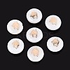 Natural Freshwater Shell Beads SHEL-N037-02A-G-1