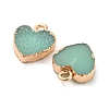 Resin with Golden Zinc Alloy Charms RESI-CJC0009-04D-2