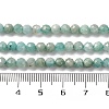 Natural Amazonite Beads Strands G-G140-A18-03-A-3