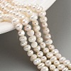 Natural Cultured Freshwater Pearl Beads Strands PEAR-C003-05A-1