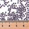 TOHO Round Seed Beads SEED-JPTR11-0749-4