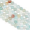 2 Strands Natural Flower Amazonite Beads Strands G-OC0005-63-1