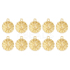 10Pcs Brass Pendants KK-HS0015-61-1