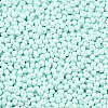 6/0 Glass Seed Beads SEED-L011-08A-14-3