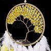 Iron Woven Web/Net with Feather Pendant Decorations AJEW-B017-12-4