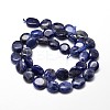 Natural Sodalite Nuggets Beads Strands LS-G-J336-09-2