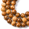 Natural Alashan Agate Beads Strands G-H343-D05-12mm-C-4