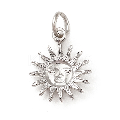 Non-Tarnish 304 Stainless Steel Charms STAS-G295-03P-1