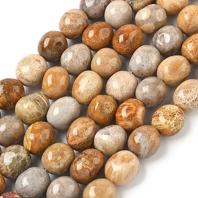 Natural Fossil Coral Beads Strands G-C038-02T-1