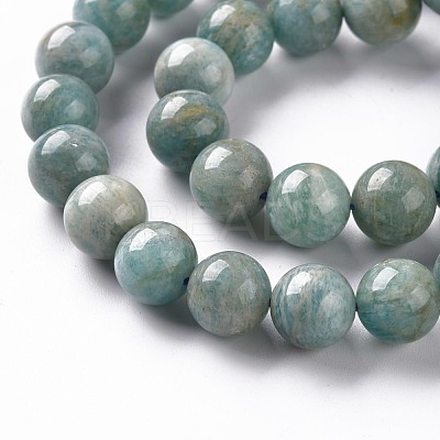 Natural Amazonite Beads Strands G-S333-10mm-005-1