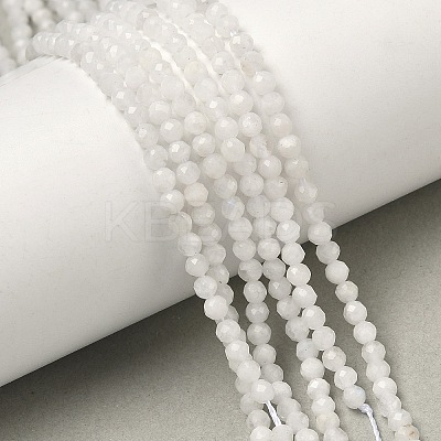 Natural Rainbow Moonstone Beads Strands G-B168-A11-2mm-1