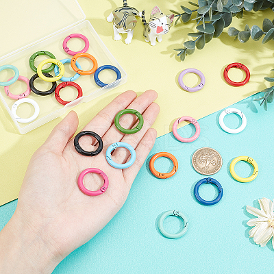 24Pcs 12 Colors Spray Painted Eco-Friendly Alloy Spring Gate Rings FIND-PH0003-35-1