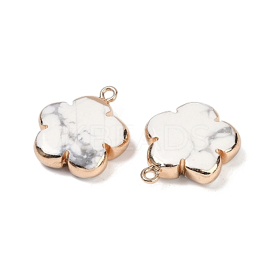 Natural Howlite Pendants G-P566-01G-13-1