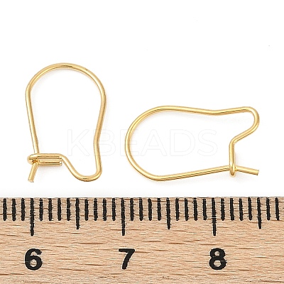 304 Stainless Steel Hoop Earring Findings STAS-P223-01G-06-1