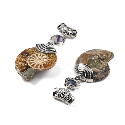 Natural Fluorite Fossil Snail Pendants G-F062-14-1
