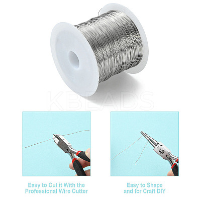 Non-Tarnish 316 Surgical Stainless Steel Wire TWIR-L004-01E-P-1