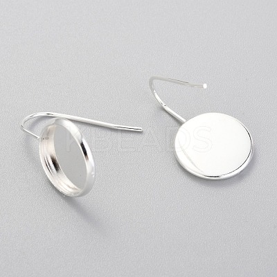 304 Stainless Steel Earring Hooks STAS-F227-22C-S-1