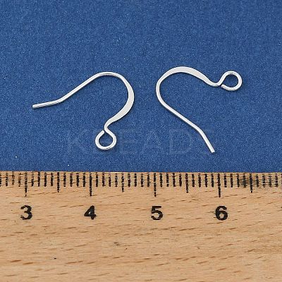 Brass Earring Hooks KK-H258-06G-S-1