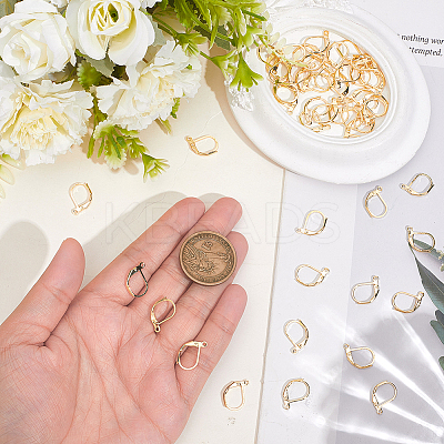 50Pcs Brass Leverback Earring Findings KK-BBC0023-87-1