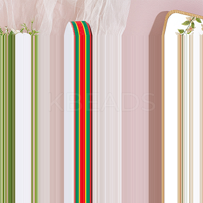 Polyester Ribbon OCOR-WH20816-009A-1