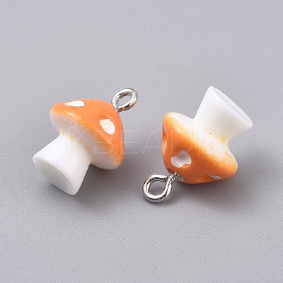 Plastic Pendants LS-KY-TAC0005-04F-1
