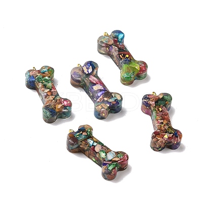 Transparent Resin Natural Imperial Jasper Dyed Chips Pendants G-E185-11G-1