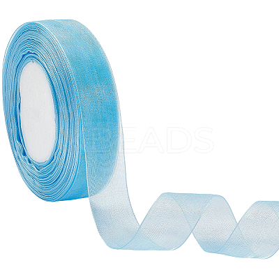 1 Rolls Sheer Organza Ribbon SRIB-CY0001-22A-04-1