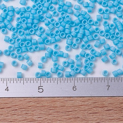 MIYUKI Delica Beads SEED-JP0008-DB0879-1