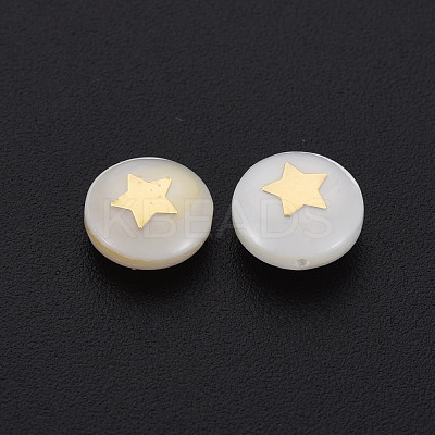 Natural Freshwater Shell Beads SHEL-N003-22-05-1