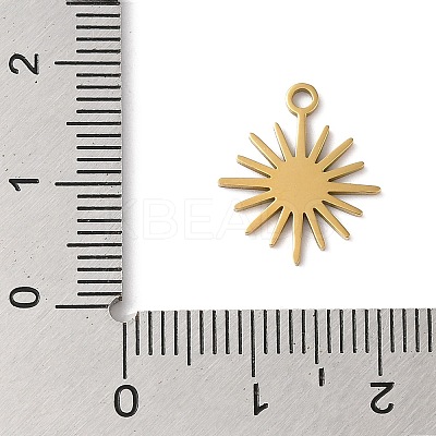 304 Stainless Steel Charms LS-STAS-S123-01G-04-1