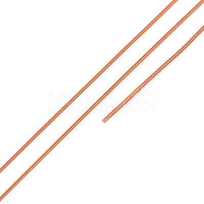 7-Strand Round Nylon Coated Steel Wire TWIR-T002-01B-10-1