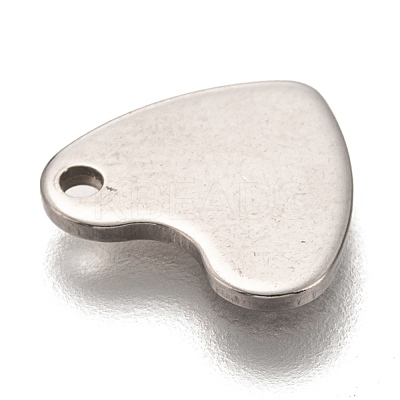 Non-Tarnish 201 Stainless Steel Charms STAS-I172-29P-1