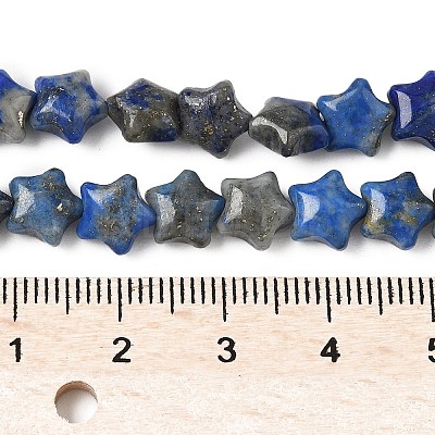 Natural Lapis Lazuli Star Beads Strands G-Z080-A05-1