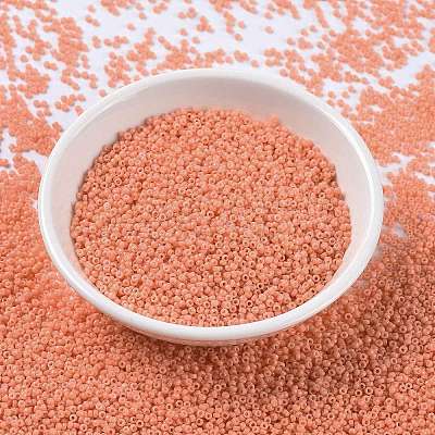 MIYUKI Round Rocailles Beads X-SEED-G009-RR4462-1