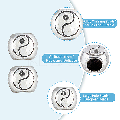 Tibetan Style Alloy European Beads FIND-DC0002-68-1