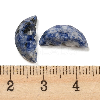 Natural Blue Spot Jasper Butterfly Wing Cabochons G-D078-02C-1