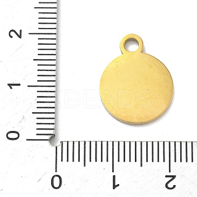304 Stainless Steel Fruit Enamel Pendants LS-STAS-G362-04G-07-1