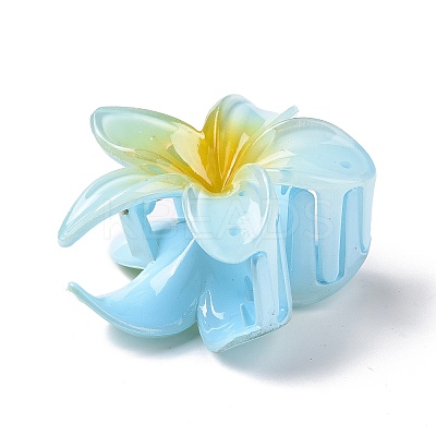 Plastic Claw Hair Clips OHAR-P020-08-1