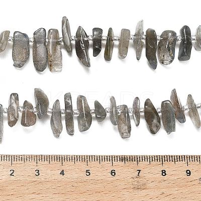 Natural Labradorite Beads Strands G-Z124-C01-01-1