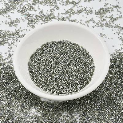 MIYUKI Delica Beads Small SEED-JP0008-DBS0048-1