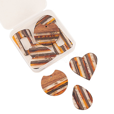 8Pcs 4 Styles Transparent Resin & Walnut Wood Stripe Pendants RESI-CJ0001-218-1