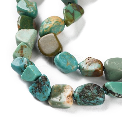Natural Hubei Turquoise Beads Strands X-G-P497-01C-51-1